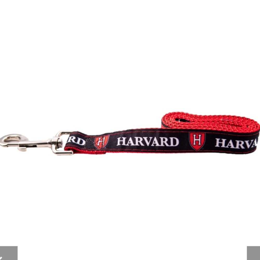 Harvard dog leash. 4’